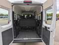 Fiat Ducato Hochr.-Kombi 33 140 L2H2 9 Sitzer Serie 8 Weiß - thumbnail 12