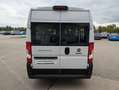 Fiat Ducato Hochr.-Kombi 33 140 L2H2 9 Sitzer Serie 8 Weiß - thumbnail 4