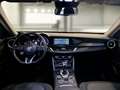 Alfa Romeo Stelvio 2.2 Turbo Diesel 190CV Business AT8 Q4 - thumbnail 7