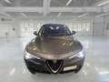 Alfa Romeo Stelvio 2.2 Turbo Diesel 190CV Business AT8 Q4 - thumbnail 2