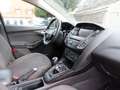 Ford Focus Focus 1.6 TDCi DPF Start-Stopp-System Trend Grau - thumbnail 4