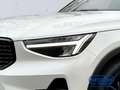Volvo XC40 B3 Plus Black Edition UVP: 52.290€ AHK  Memory Sit Weiß - thumbnail 5