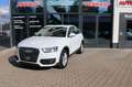 Audi Q3 2.0 TDI quattro Xenon Alcantara DSP Navi Weiß - thumbnail 3