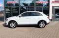 Audi Q3 2.0 TDI quattro Xenon Alcantara DSP Navi Weiß - thumbnail 4