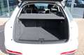 Audi Q3 2.0 TDI quattro Xenon Alcantara DSP Navi Weiß - thumbnail 7