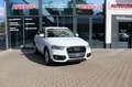 Audi Q3 2.0 TDI quattro Xenon Alcantara DSP Navi Weiß - thumbnail 1