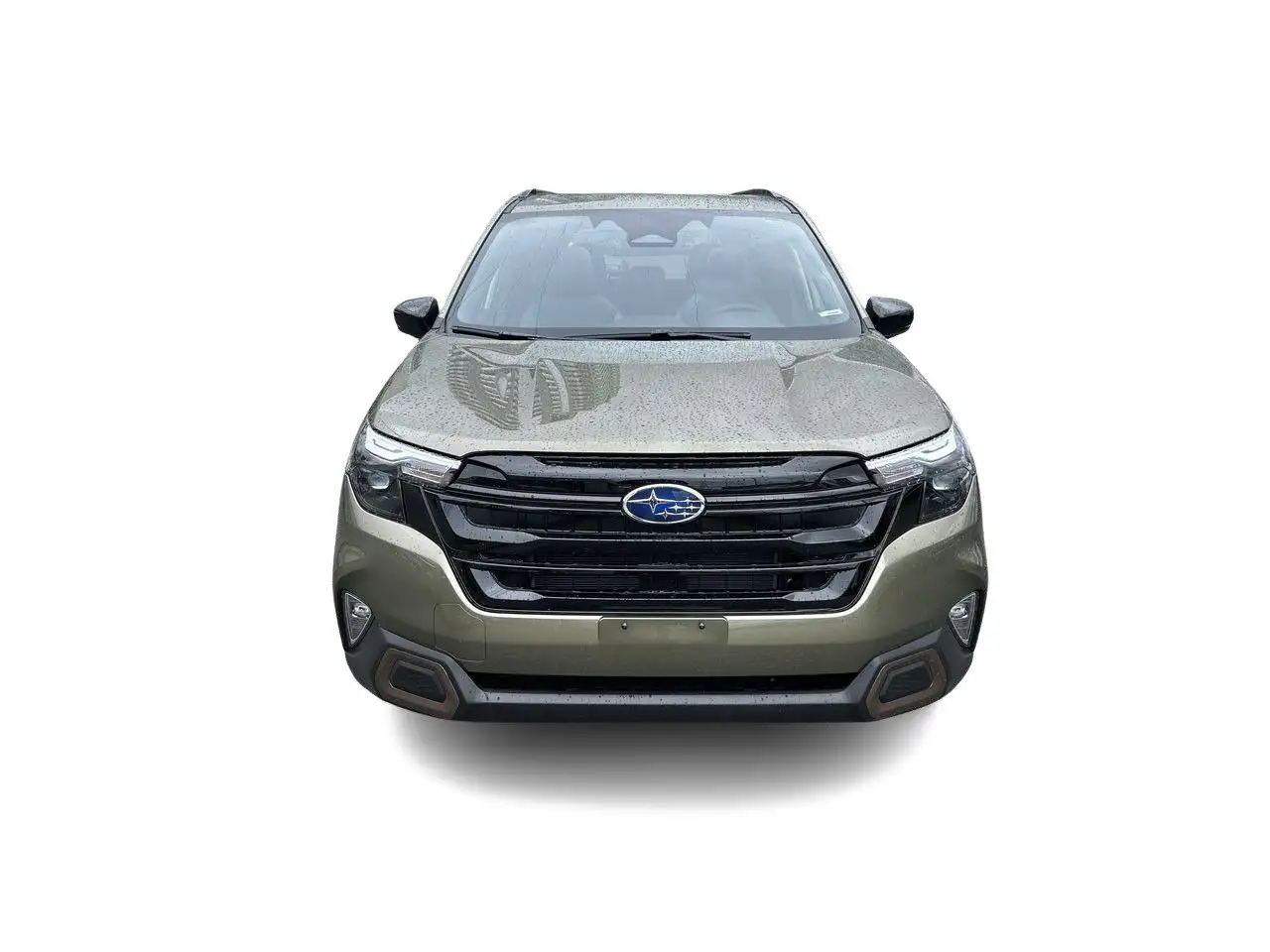 Subaru Forester fotografie Subaru Forester