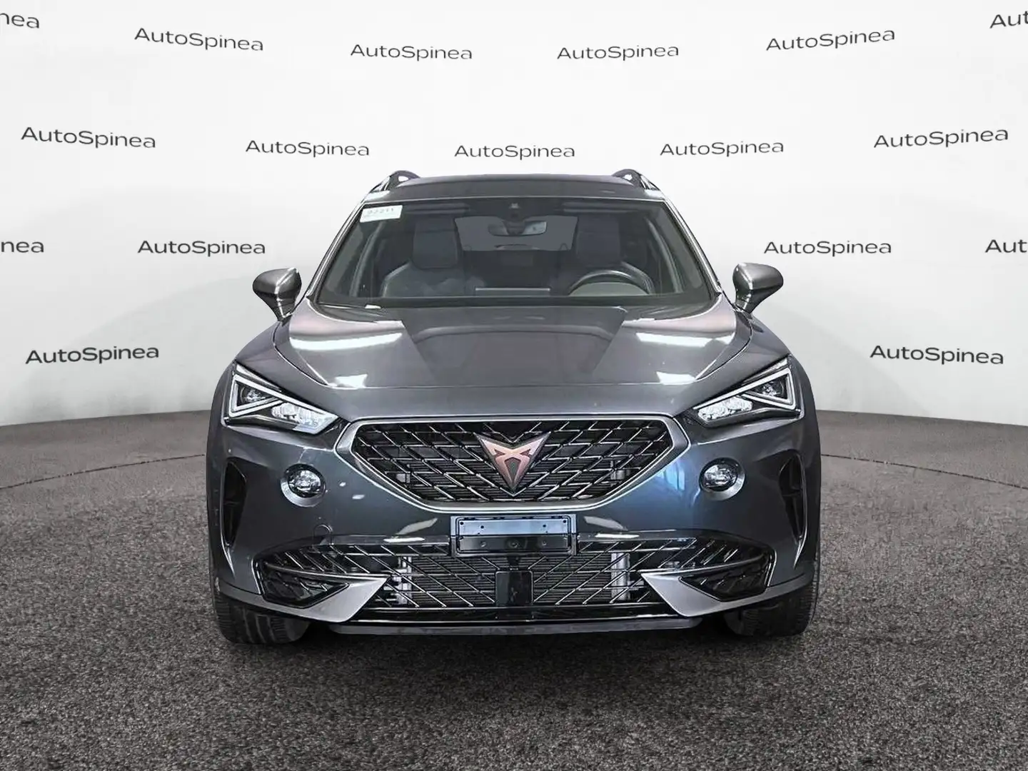 CUPRA Formentor 2.0 TDI 4Drive DSG 150 cv #nazionale Grigio - 2