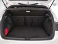 Volkswagen Golf R BLACK EDITION 2,0 l TSI 4MOTION 245 kW 333 PS 7-Gang-Dopp Blanc - thumbnail 14