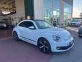 Volkswagen Maggiolino Maggiolino 1.2 TSI Design - thumbnail 3