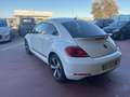 Volkswagen Maggiolino Maggiolino 1.2 TSI Design - thumbnail 7