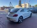 Volkswagen Maggiolino Maggiolino 1.2 TSI Design - thumbnail 5