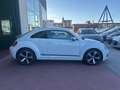 Volkswagen Maggiolino Maggiolino 1.2 TSI Design - thumbnail 8