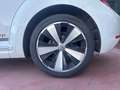Volkswagen Maggiolino Maggiolino 1.2 TSI Design - thumbnail 10