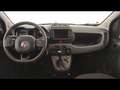 Fiat Panda 1.0 firefly hybrid Cross s&s 70cv 5p.ti Verde - thumbnail 11