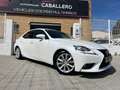 Lexus IS 300 300h Hybrid Drive Navi Tecno Blanco - thumbnail 3