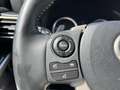Lexus IS 300 300h Hybrid Drive Navi Tecno Blanco - thumbnail 17