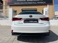 Lexus IS 300 300h Hybrid Drive Navi Tecno Blanco - thumbnail 7