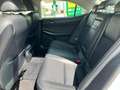 Lexus IS 300 300h Hybrid Drive Navi Tecno Blanco - thumbnail 13