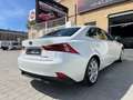 Lexus IS 300 300h Hybrid Drive Navi Tecno Blanco - thumbnail 8