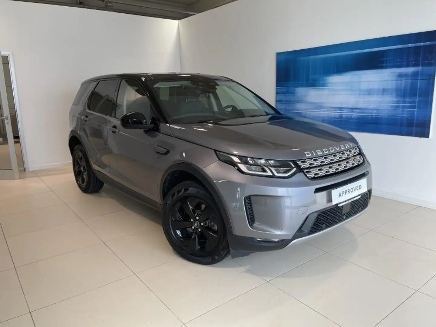 Land Rover Discovery Sport 2.0 TD4 163 CV + IVA Grau - 1