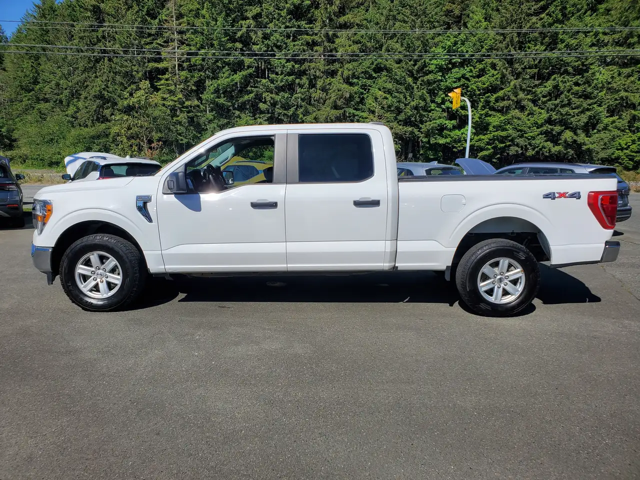 Ford F 150 снимка Ford F 150