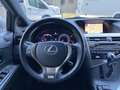 Lexus RX 450h F Sport Gris - thumbnail 10