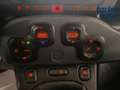 Fiat Panda Panda Cross 1.0 FireFly S&S Hybrid Rot - thumbnail 19