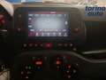 Fiat Panda Panda Cross 1.0 FireFly S&S Hybrid Rot - thumbnail 16