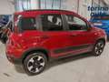Fiat Panda Panda Cross 1.0 FireFly S&S Hybrid Rosso - thumbnail 6