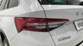 Skoda Kodiaq 2.0TDI AB tech Ambition 4x2 DSG 110kW Blanco - thumbnail 13