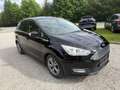 Ford C-Max Titanium, Aut., Winter-Paket, getönte Scheiben Schwarz - thumbnail 5
