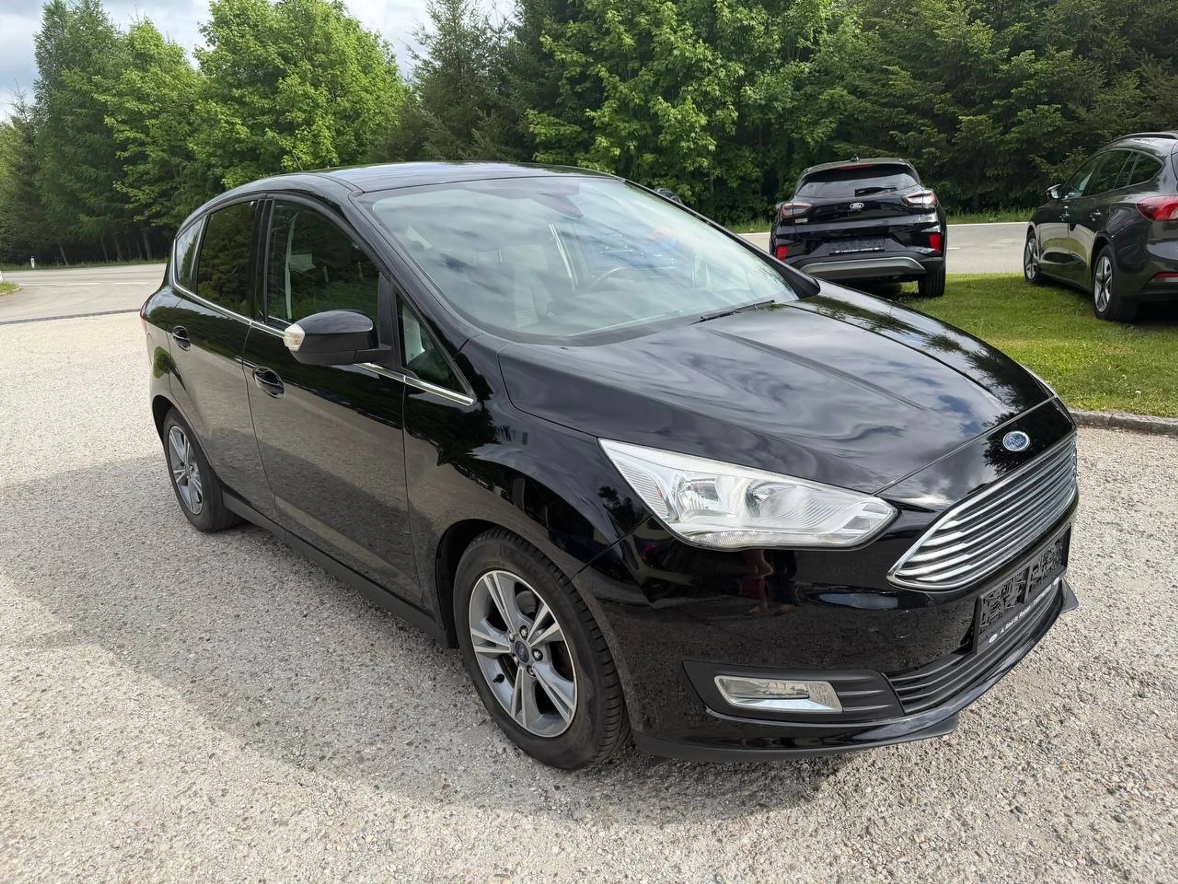 Ford C-Max Titanium, Aut., Winter-Paket, getönte Scheiben — photo 5
