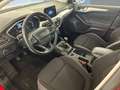 Ford Focus 1.5Ecoblue Trend Edition 120 Rojo - thumbnail 7