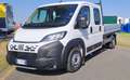 Fiat Ducato DP 7 posti Cassone fisso Bianco - thumbnail 2