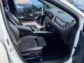 Mercedes-Benz B 220 Edition 19 AMG PANO NAVI LED Weiß - thumbnail 17