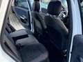 Mercedes-Benz B 220 Edition 19 AMG PANO NAVI LED Weiß - thumbnail 14
