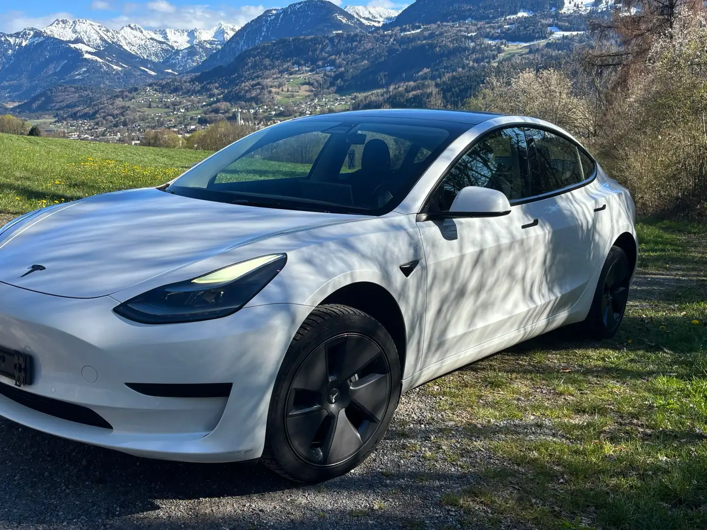 Tesla Model 3 Tesla Model 3 SR+ | 8-fach bereift | gepflegt | Ambiente | sofort verfügbar Weiß - 2