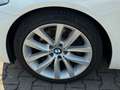 BMW 520 d Garantie* 1.Hand* Auto.* TÜV Neu* Weiß - thumbnail 13