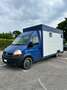 Renault Master Master 2 - Van trasporto cavalli Niebieski - thumbnail 1