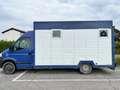Renault Master Master 2 - Van trasporto cavalli Niebieski - thumbnail 2