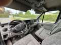 Renault Master Master 2 - Van trasporto cavalli Niebieski - thumbnail 6