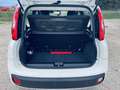 Fiat Panda 1.2 Lounge easypower Gpl 69cv my19 Bianco - thumbnail 8