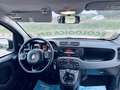 Fiat Panda 1.2 Lounge easypower Gpl 69cv my19 Bianco - thumbnail 2