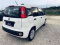 Fiat Panda 1.2 Lounge easypower Gpl 69cv my19 Bianco - thumbnail 4
