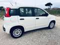 Fiat Panda 1.2 Lounge easypower Gpl 69cv my19 Bianco - thumbnail 5