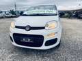Fiat Panda 1.2 Lounge easypower Gpl 69cv my19 Bianco - thumbnail 12