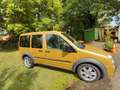 Ford Tourneo Connect Bronze - thumbnail 1