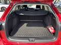 Volkswagen Golf Variant 2,0 TDI Life Rot - thumbnail 7