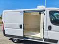 Fiat Ducato 28 2.0 MJT 120CV PC FRIGO 0° White - thumbnail 4